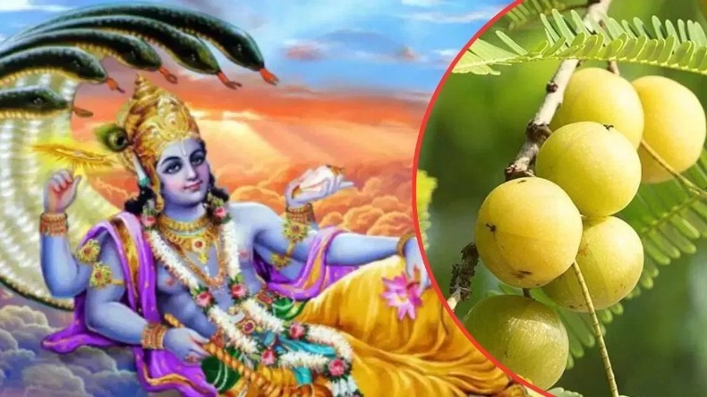 Amalaki Ekadashi